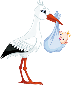 stork baby PNG-23879